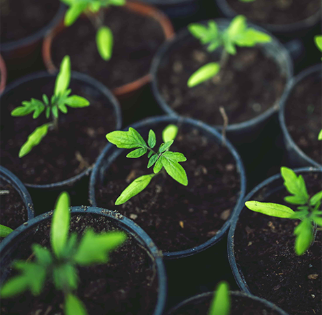 FarmingBio